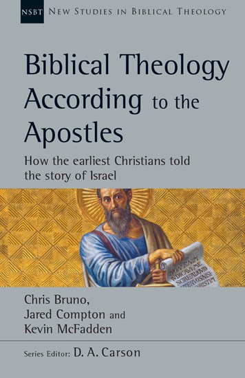 cover of biblical theology according to the apostles