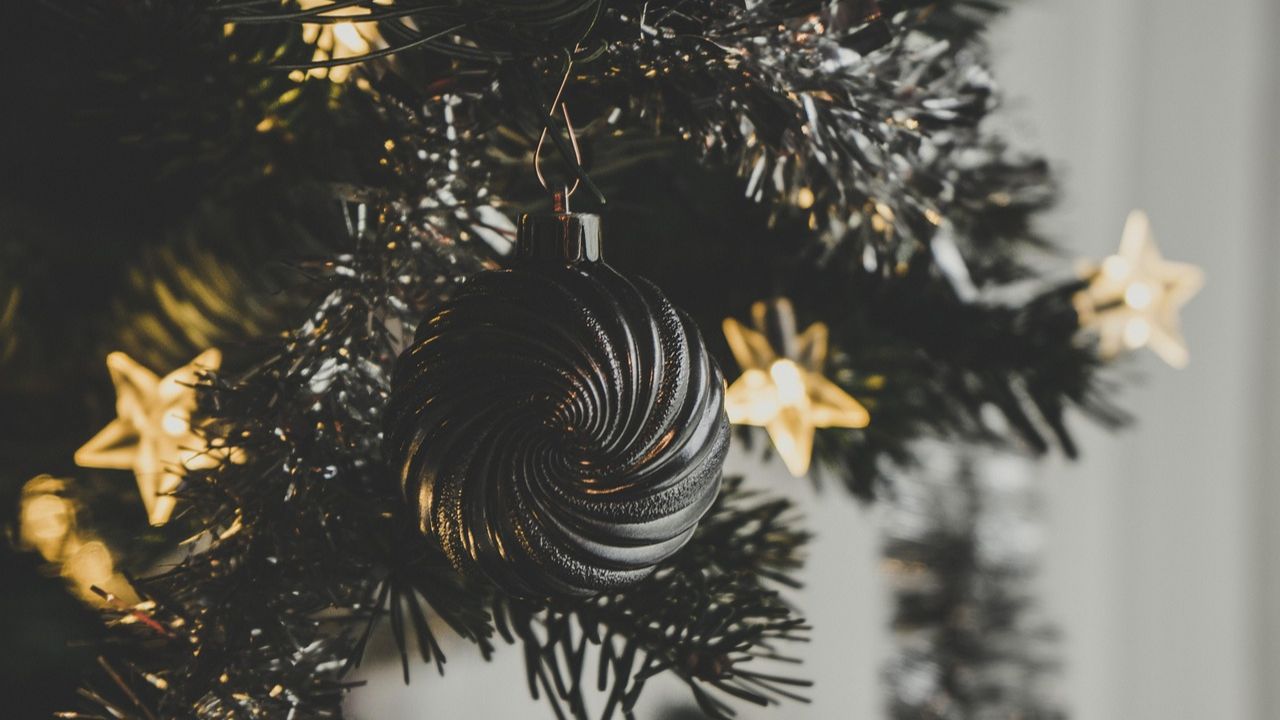 up-close image of an ornament on a Christmas tree branch