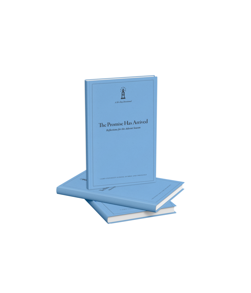 cover of The Promise Has Arrived