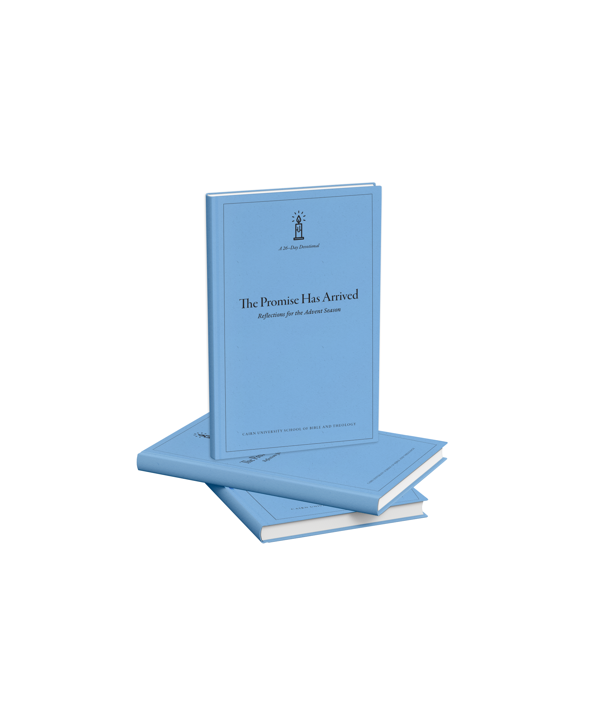cover of The Promise Has Arrived